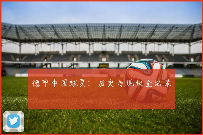 德甲中国球员:历史与现状全记录
