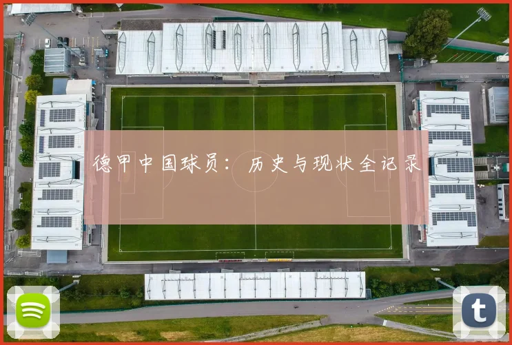 德甲中国球员:历史与现状全记录